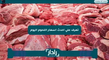 تعرف على أحدث أسعار اللحوم اليوم